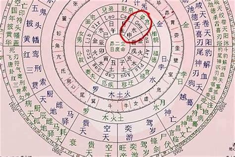 八字命主意思|什么是八字主星 (四柱八字主星和主星代表什么)